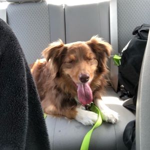 Meet your Posher, Brittany